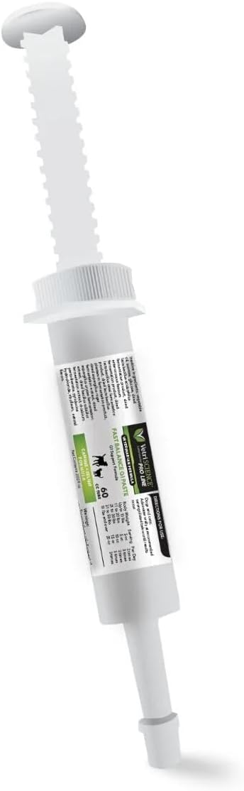 VetriScience Fast Balance GI Pro - Cat & Dog Probiotic Paste - Digestive Balance Supplement for Food Sensitivity & GI Health Support - Gut Health Support Formula - 60 cc Tube