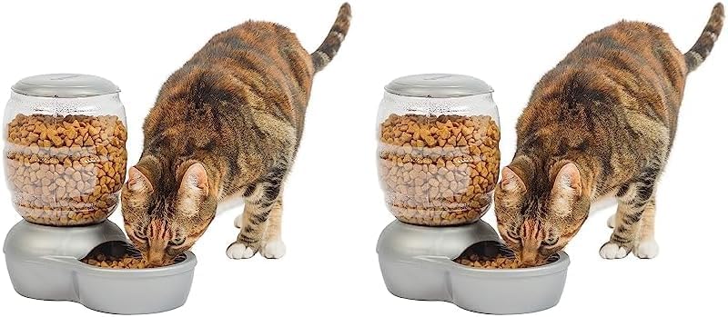 Petmate Replendish Feeder with Automatic Cat and Dog Feeder, 5 LB, Pearl Silver Grey, Made in USA (Pack of 2)