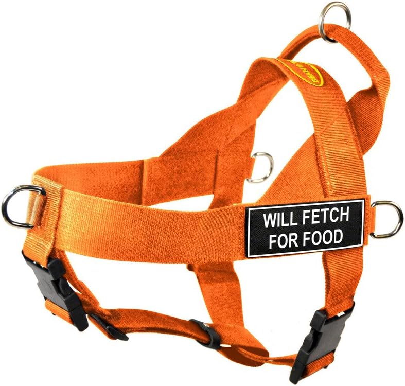 Dean & Tyler DT Universal No Pull Dog Harness with Will Fetch for Food Patches, X-Large, Orange