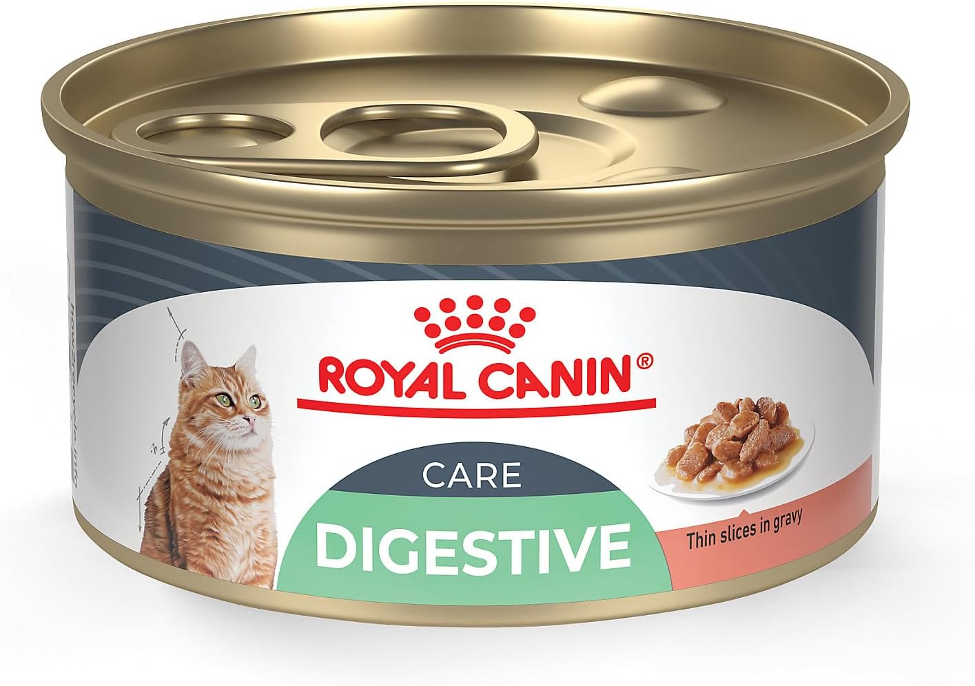 Royal Canin Feline Digestive Care Thin Slices in Gravy Wet Cat Food, 3 oz can (24-count)