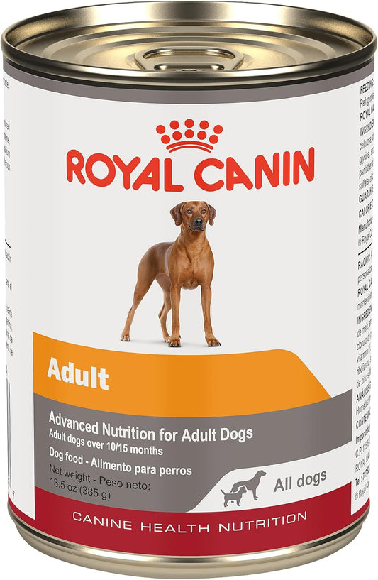 Royal Canin Canine Health Nutrition Adult In Gel Canned Dog Food, 13.5 oz can(Pack of 12)