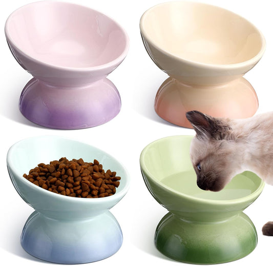 Hushee 4 Pcs Ceramic Raised Cat Food Bowls Elevated Tilted Cat Dish Anti Vomiting Food or Water Bowls Colorful Porcelain Pet Bowl for Cats Kitten Small Dogs, Protect Kitten Spines (Gradient Color)