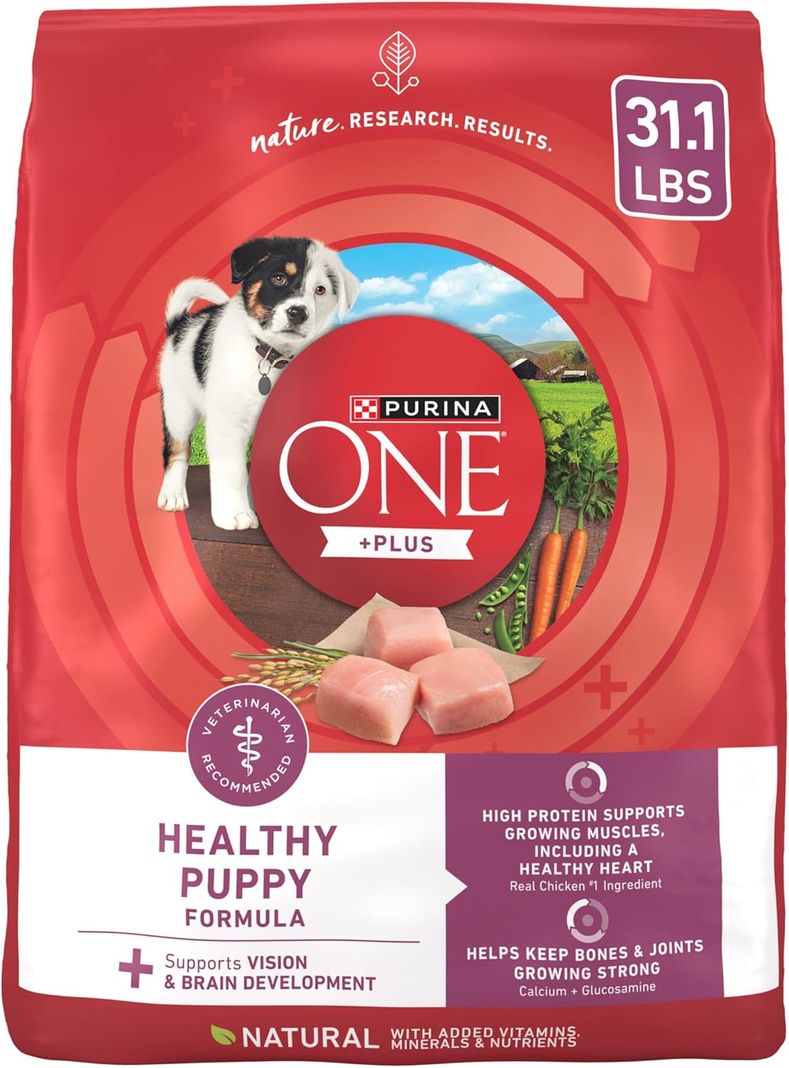 Purina ONE Plus Healthy Puppy Formula High Protein Natural Dry Puppy Food with added vitamins, minerals and nutrients - 31.1 lb. Bag