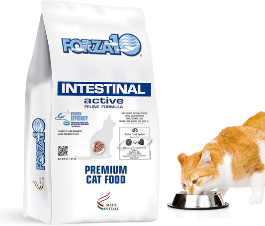 Forza10 Active Intestinal Support Diet Dry Cat Food for Adult Cats, Cat Food Dry for Upset Stomach, Diarrhea and Intestinal Disorders, Wild Caught Anchovy Flavor, 4 Pound Bag