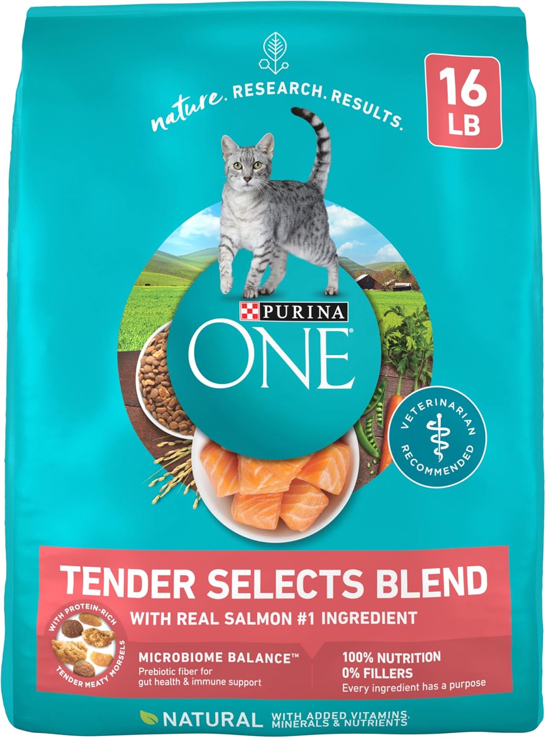 Purina ONE Natural Dry Cat Food, Tender Selects Blend With Real Salmon - 16 lb. Bag