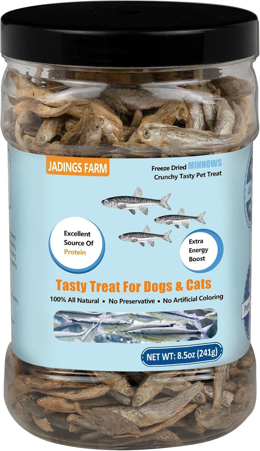 JADINGSFARM Minnows - 8.5 oz Freeze Dried - 100% Natural Premium Cat Treat, Dog Treat - Freeze Dried Minnows for Cats - Freeze Dried Minnows for Dogs (8.5 OZ)