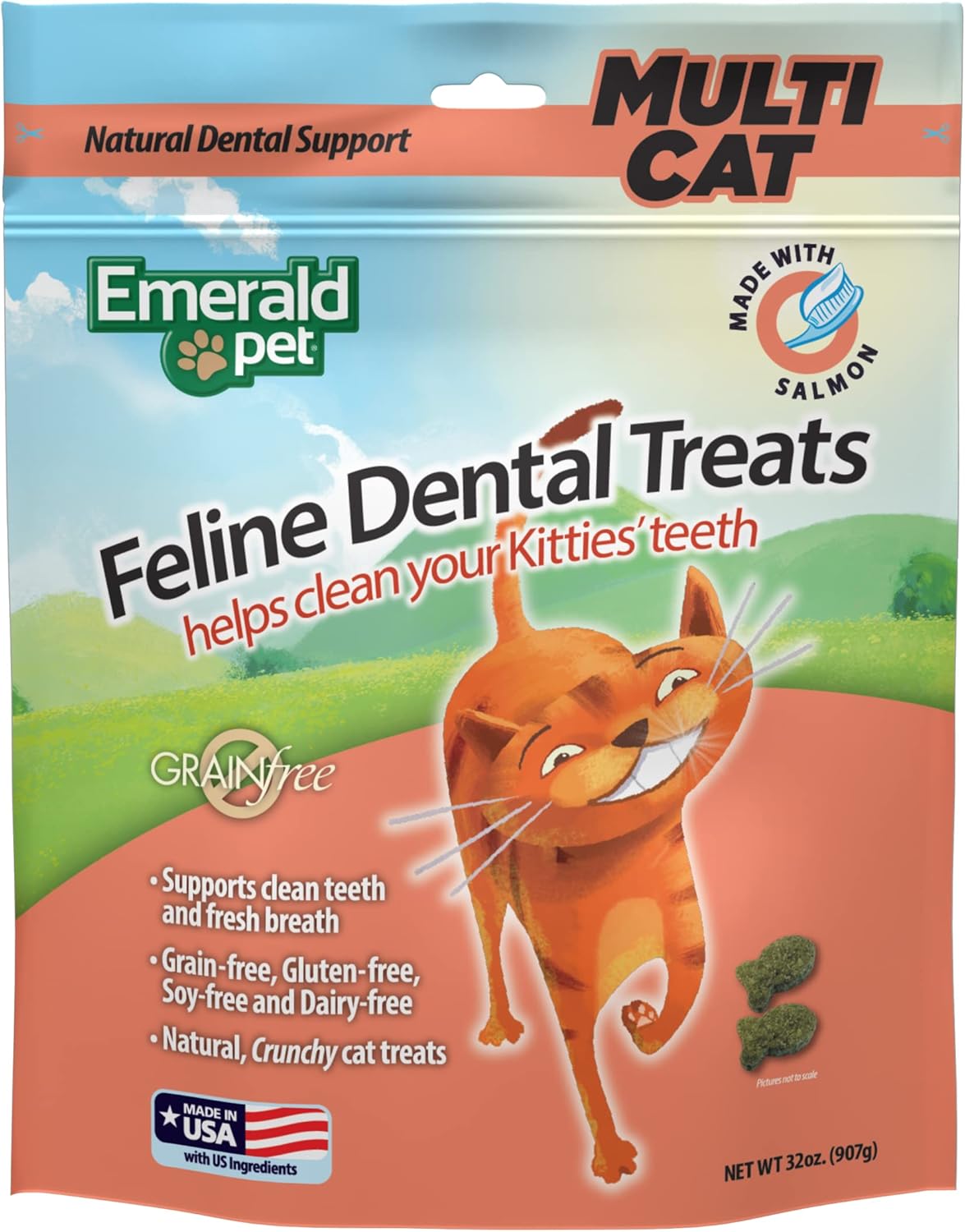 Feline Dental Treats \u2014 Tasty and Crunchy Cat Dental Treats Grain Free \u2014 Natural Dental Treats to Clean Cat Teeth, Freshen Breath, Reduce Plaque and Tartar Buildup \u2014 Salmon Treats, 32 oz (32 oz)