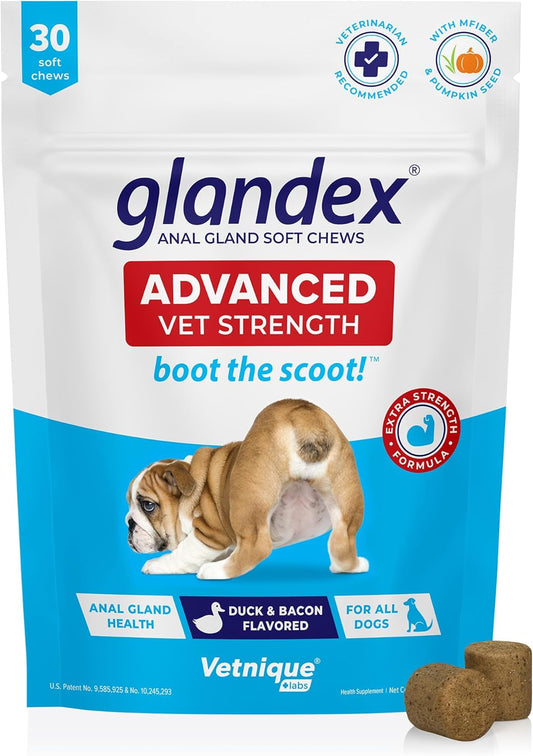 Glandex Anal Gland Soft Chew Treats with Pumpkin for Dogs Digestive Enzymes, Probiotics Fiber Supplement for Dogs Boot The Scoot (Advanced Strength Duck\/Bacon Chews (Vegetarian), 30ct)