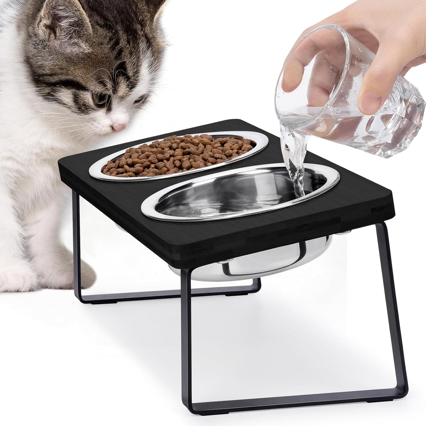 Elevated Cat Bowls for Food and Water - Loplurea 15° Tilted Raised Stainless Steel Cat Food Bowl with Black Bamboo Stand and Anti Vomit Feeding Station for Indoor Cats and Pet