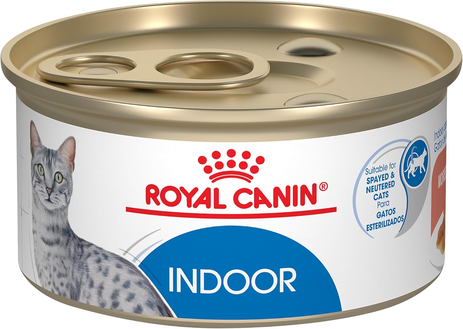 Royal Canin® Feline Health Nutrition™ Indoor Adult Morsels in Gravy Canned Cat Food, 3 oz (Pack of 24)