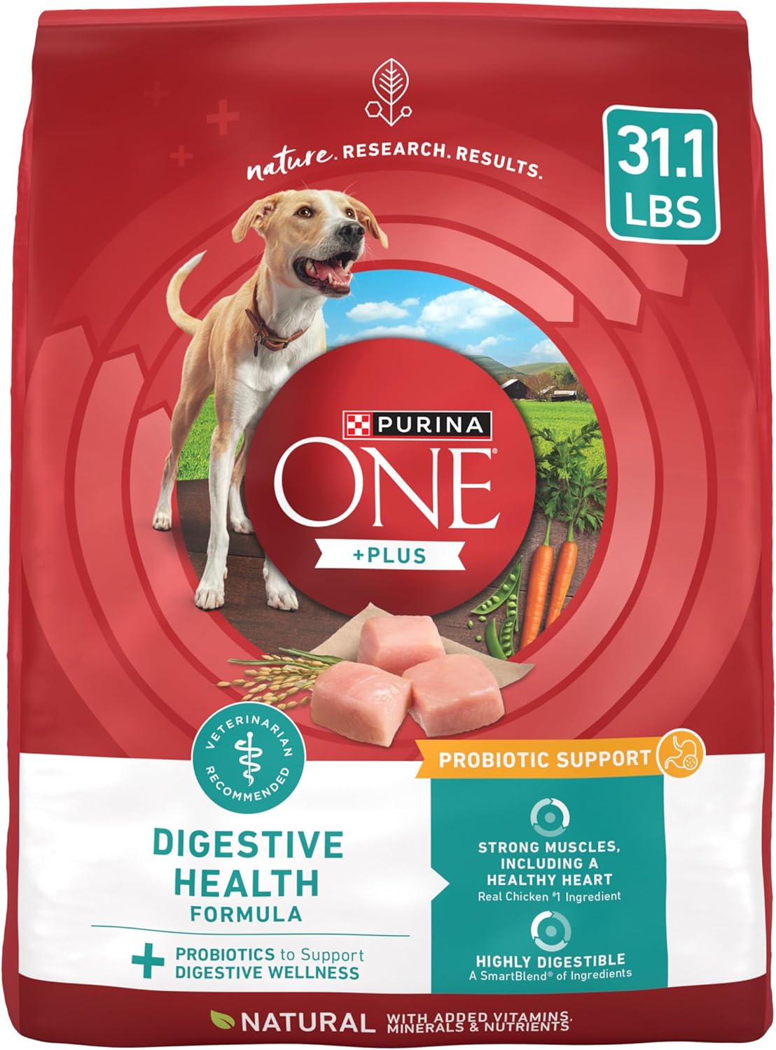 Purina One Plus Digestive Health Formula Dry Dog Food Natural with Added Vitamins, Minerals and Nutrients - 31.1 Lb. Bag