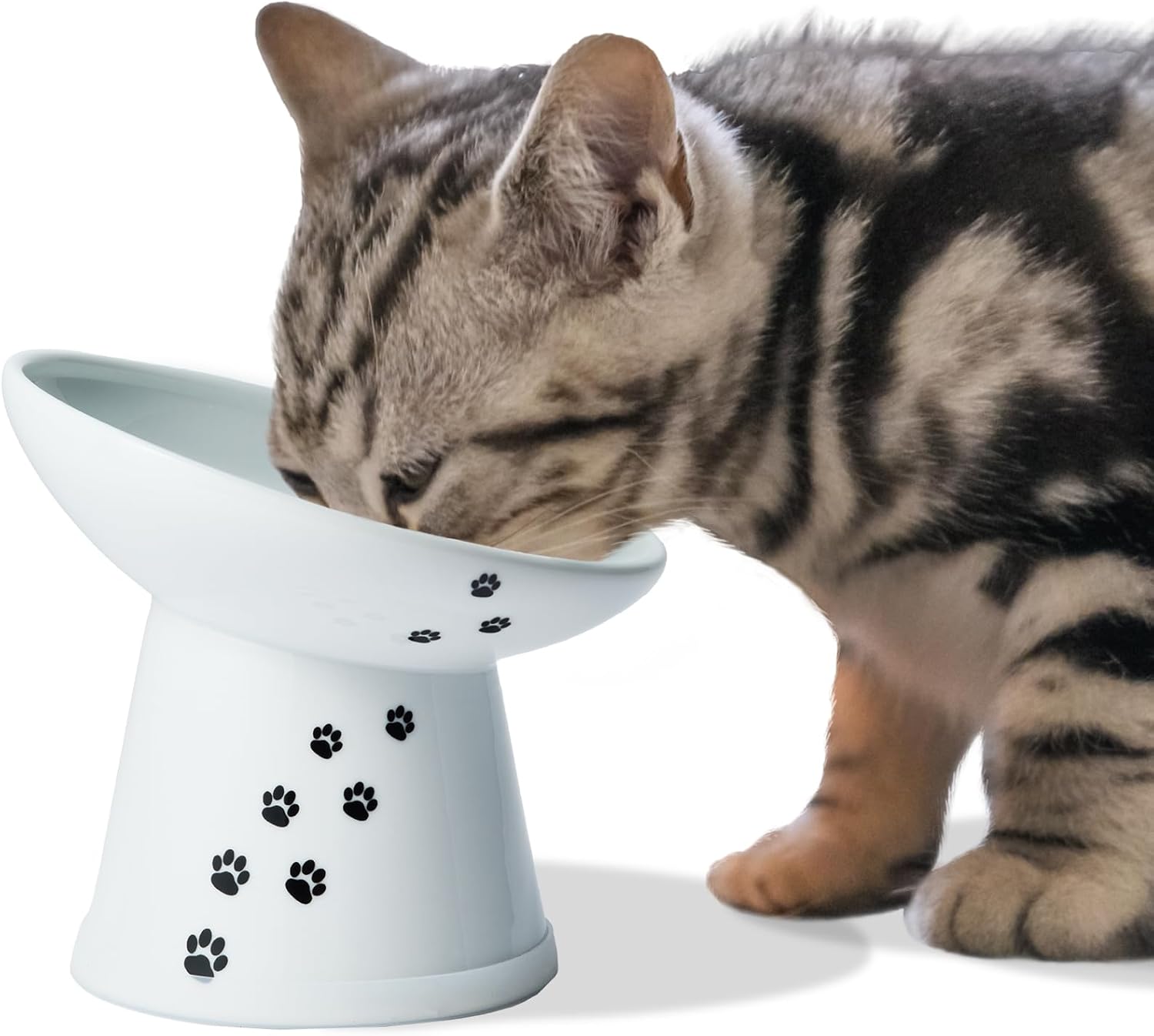 Tilted Stress Free Raised Cat Food Bowl, Regular (Cat)