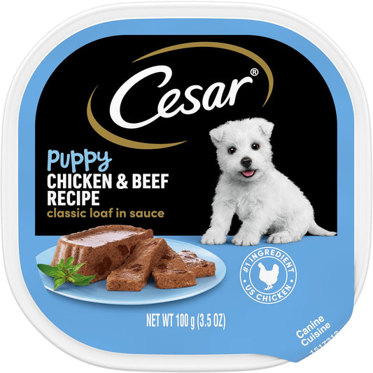 CESAR Puppy Wet Dog Food Classic Loaf in Sauce Chicken & Beef Recipe, (24) 3.5 oz. Easy Peel Trays