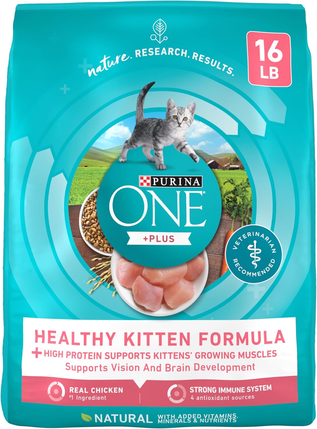 Purina ONE High Protein, Natural Dry Kitten Food, +Plus Healthy Kitten Formula - 16 lb. Bag