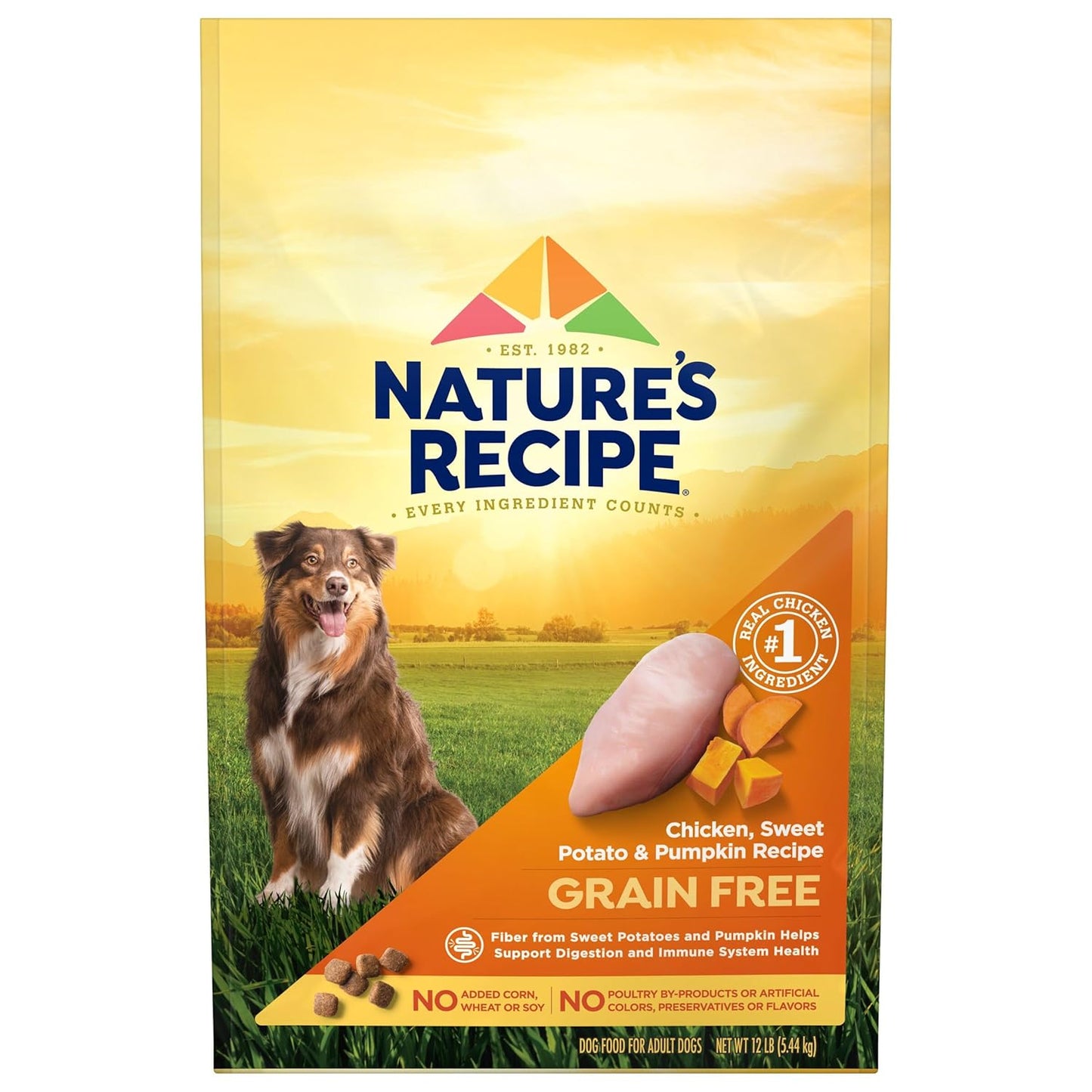 Nature’s Recipe Grain Free Chicken, Sweet Potato & Pumpkin Recipe Dry Dog Food, 12 lb. Bag