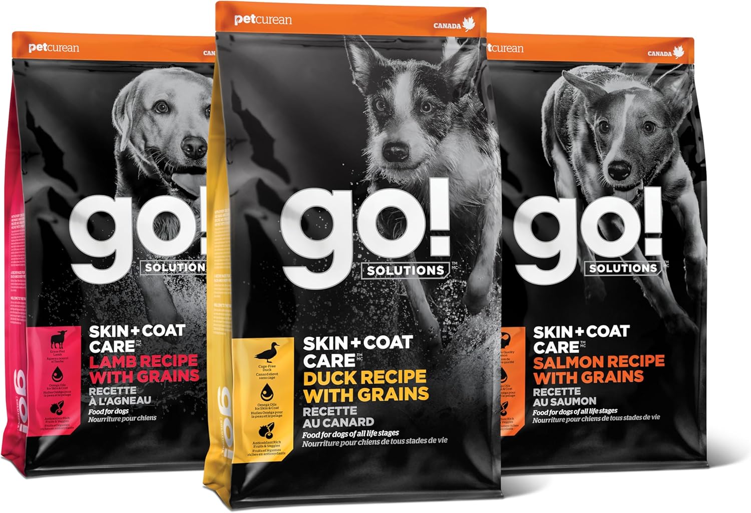 GO! SOLUTIONS Skin + Coat Care - Dry Dog Food Recipe with Grains for All Life Stages- Complete + Balanced Nutrion for Dogs - Variety Pack - Pack of 3