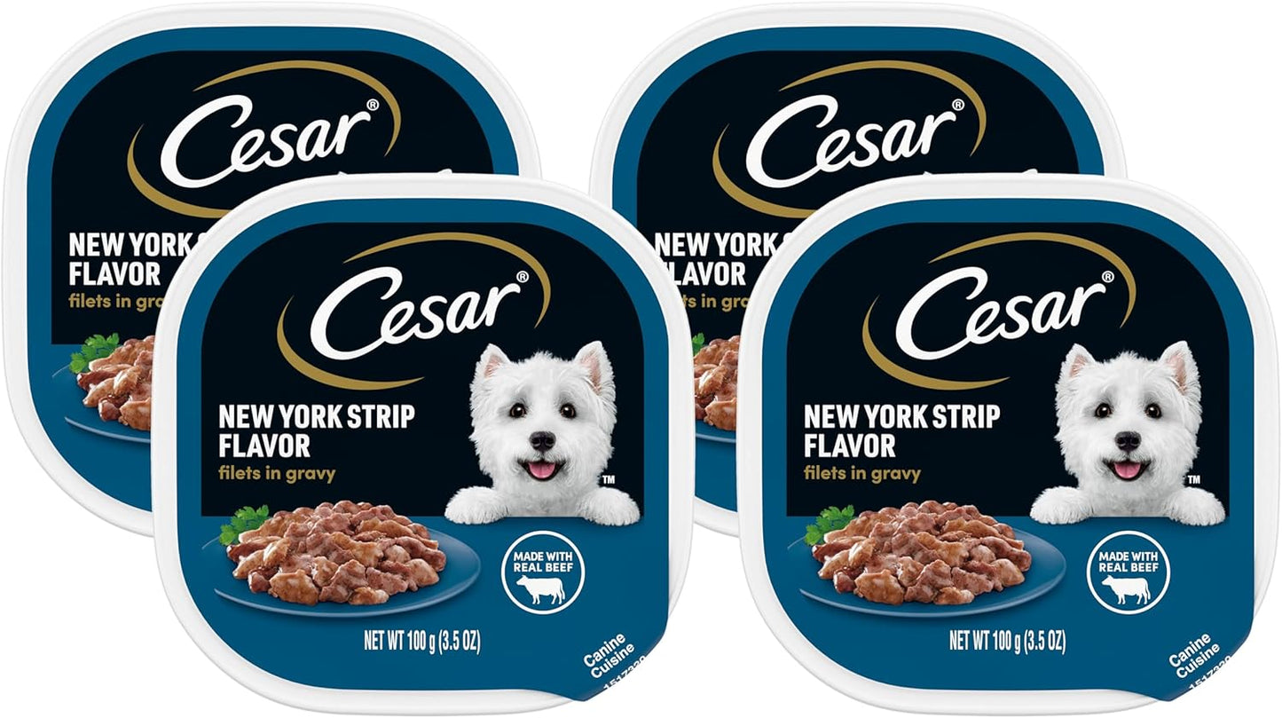 Cesar Adult Soft Wet Dog Food Filets in Gravy, New York Strip Flavor, 3.5 oz. Tray (Pack of 4)