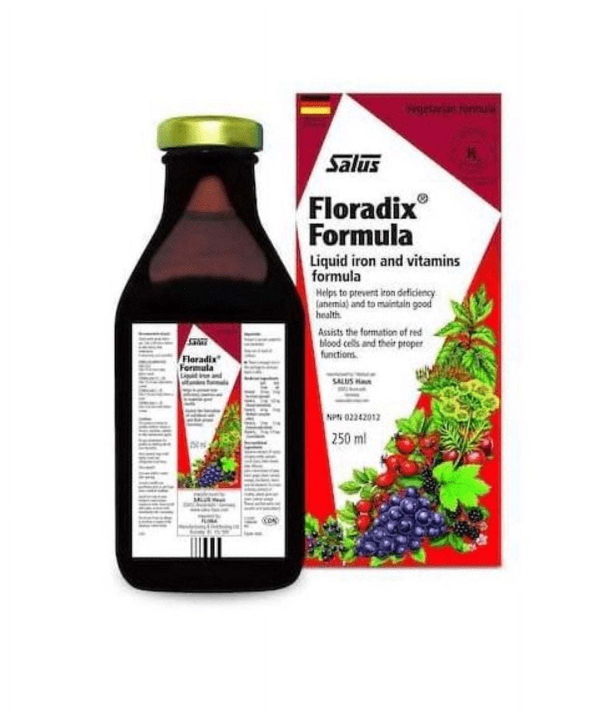 Floradix Liquid Iron and Vitamins Sıpplement - 250 ml